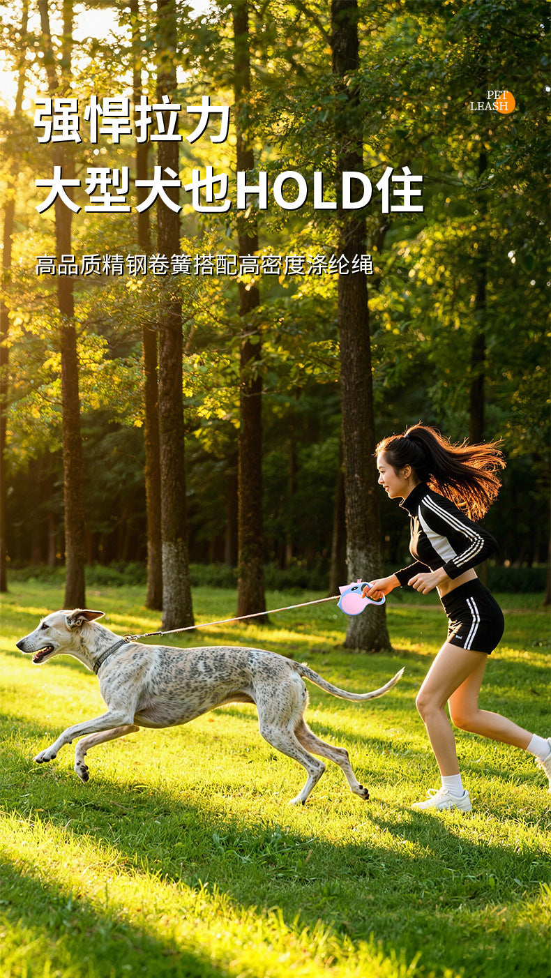 82495b15-b2bb-4540-88d7-9405d5263fae