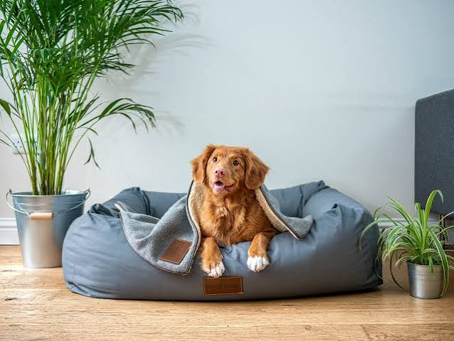 Cozy Fleece Dog Blanket